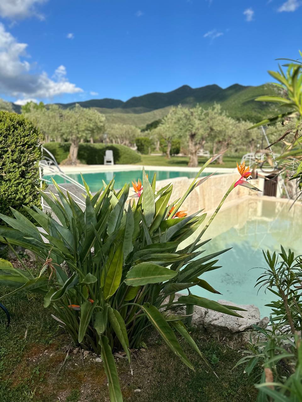 Piscina Naturale
